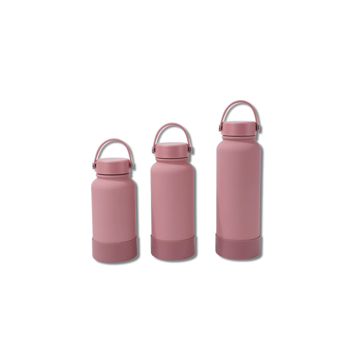 CarryMate Insulated Bottle