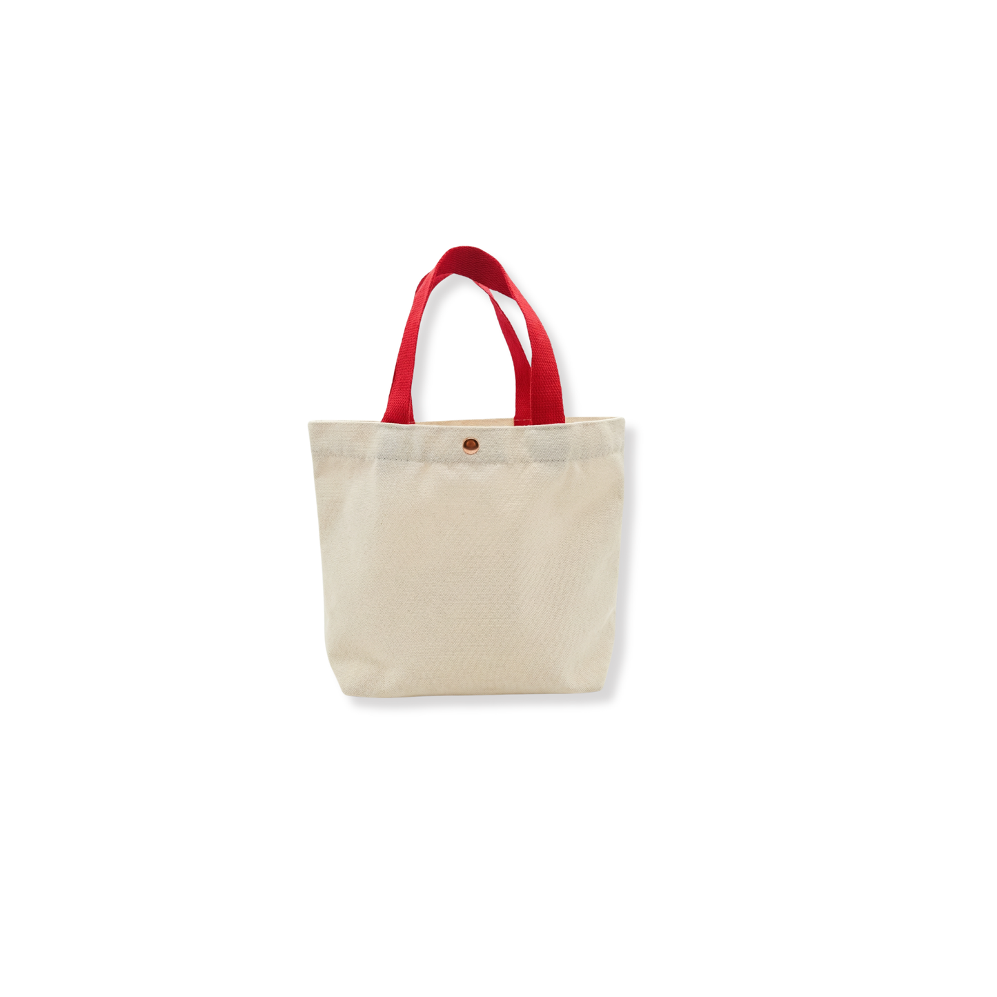 ColorHandle Canvas Tote